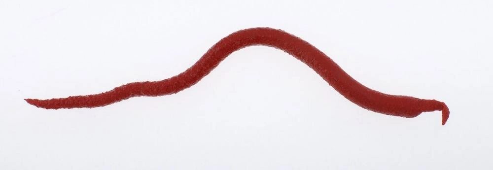 Berkley Gulp! Saltwater Extruded Bloodworm Soft Baits