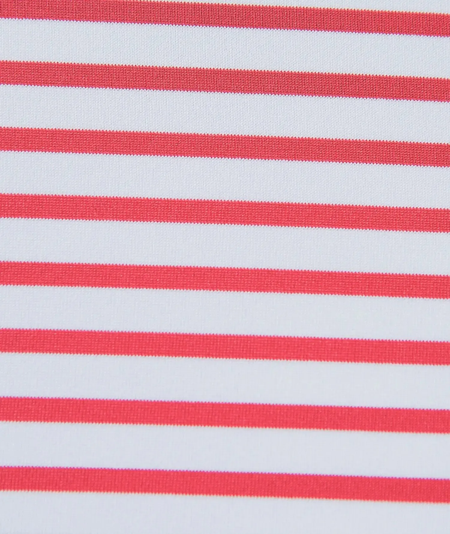 Gus Stripe