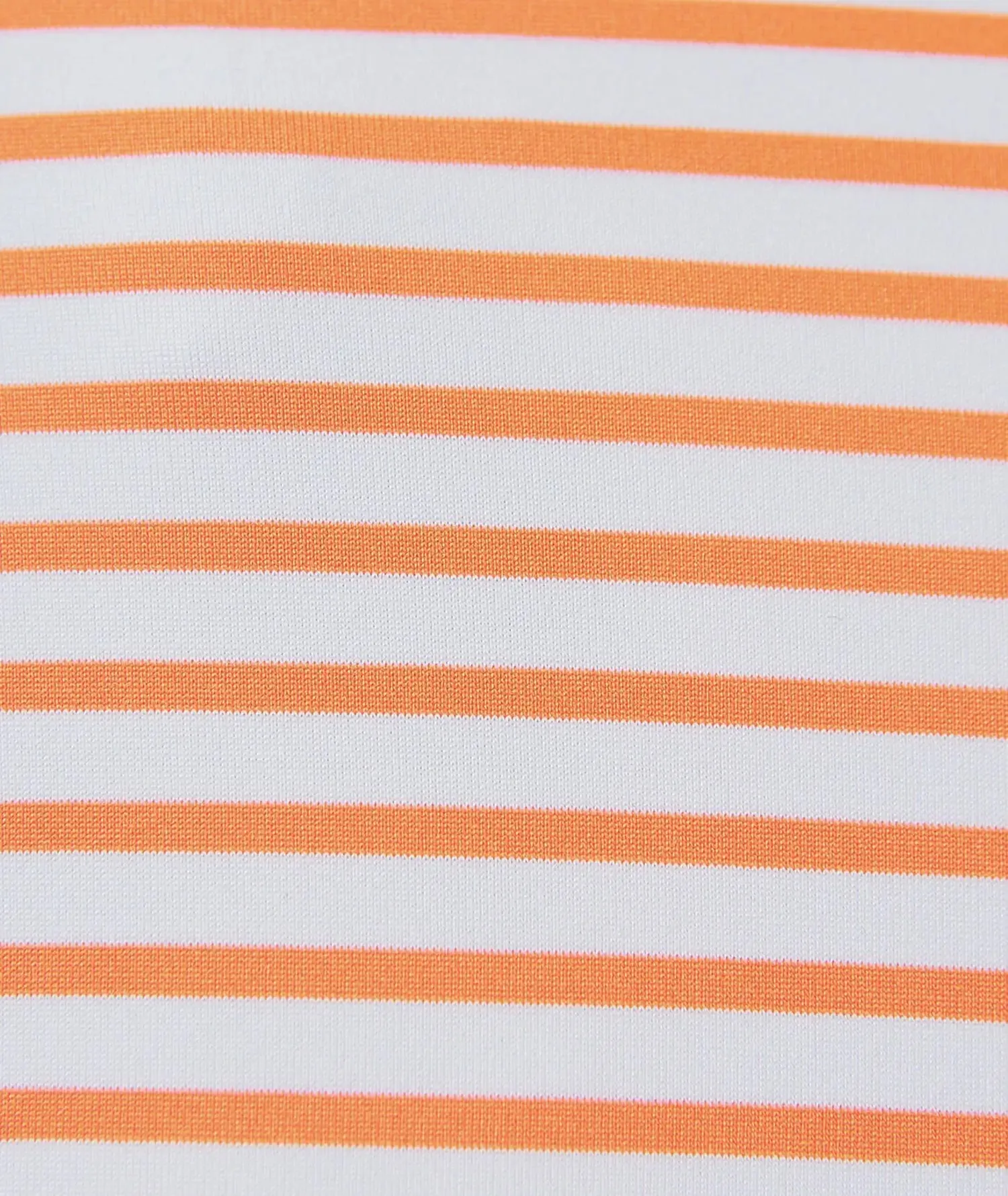 Gus Stripe
