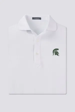 Palmer - Michigan State University