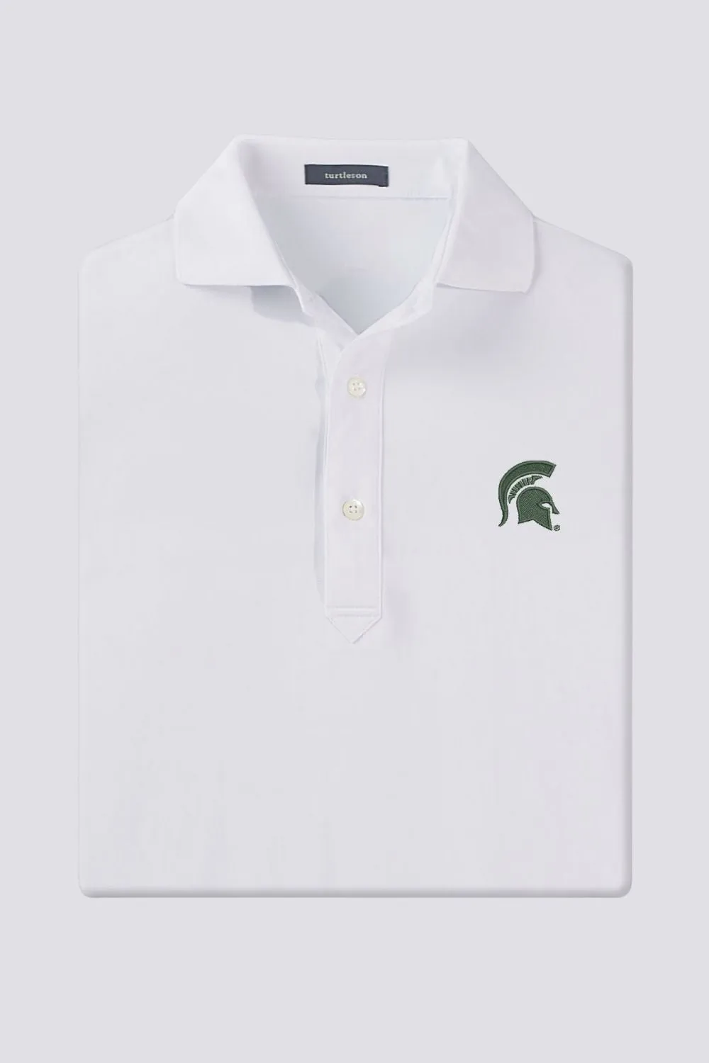 Palmer - Michigan State University