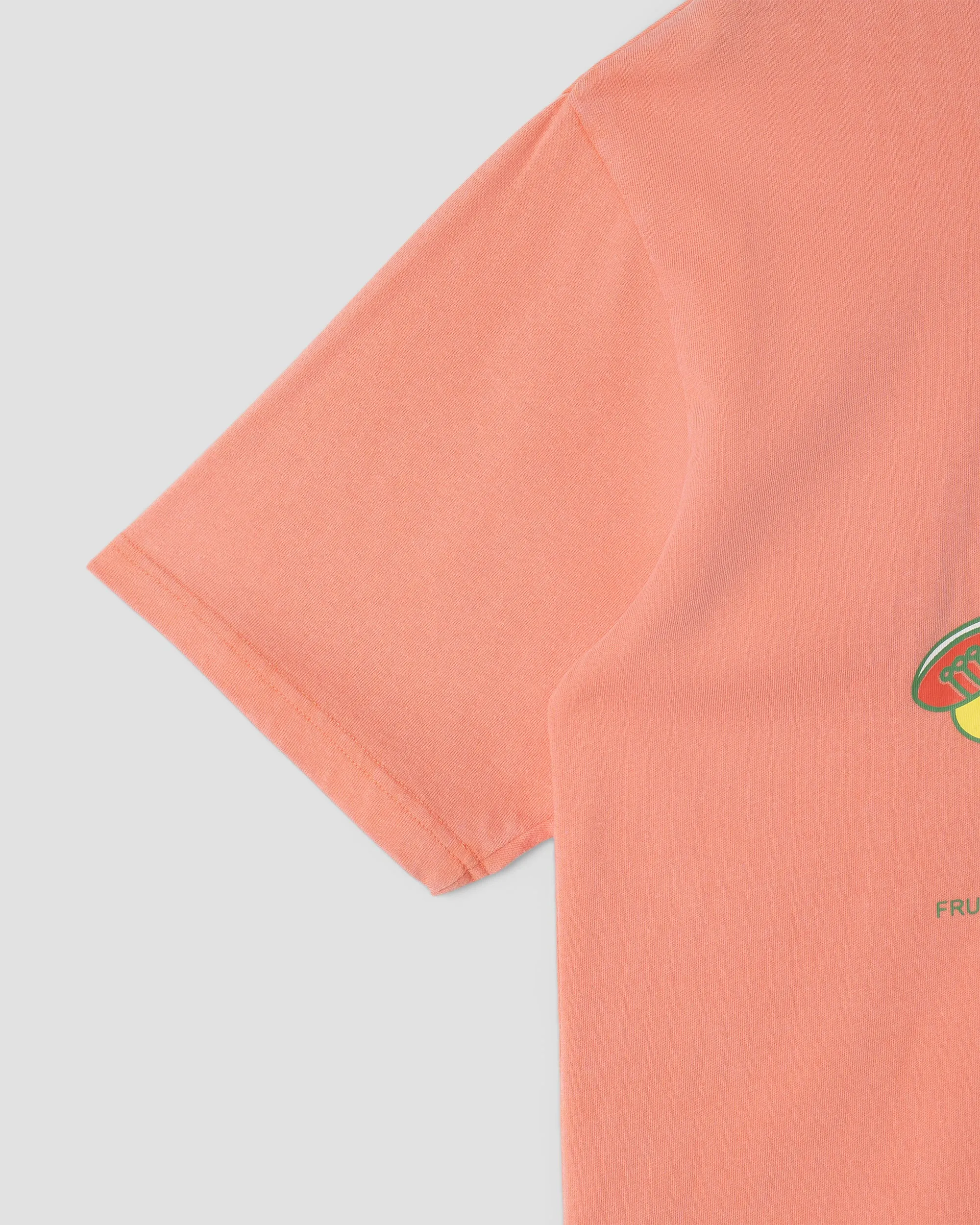 Stan Dunk T-Shirt (Washed Red)
