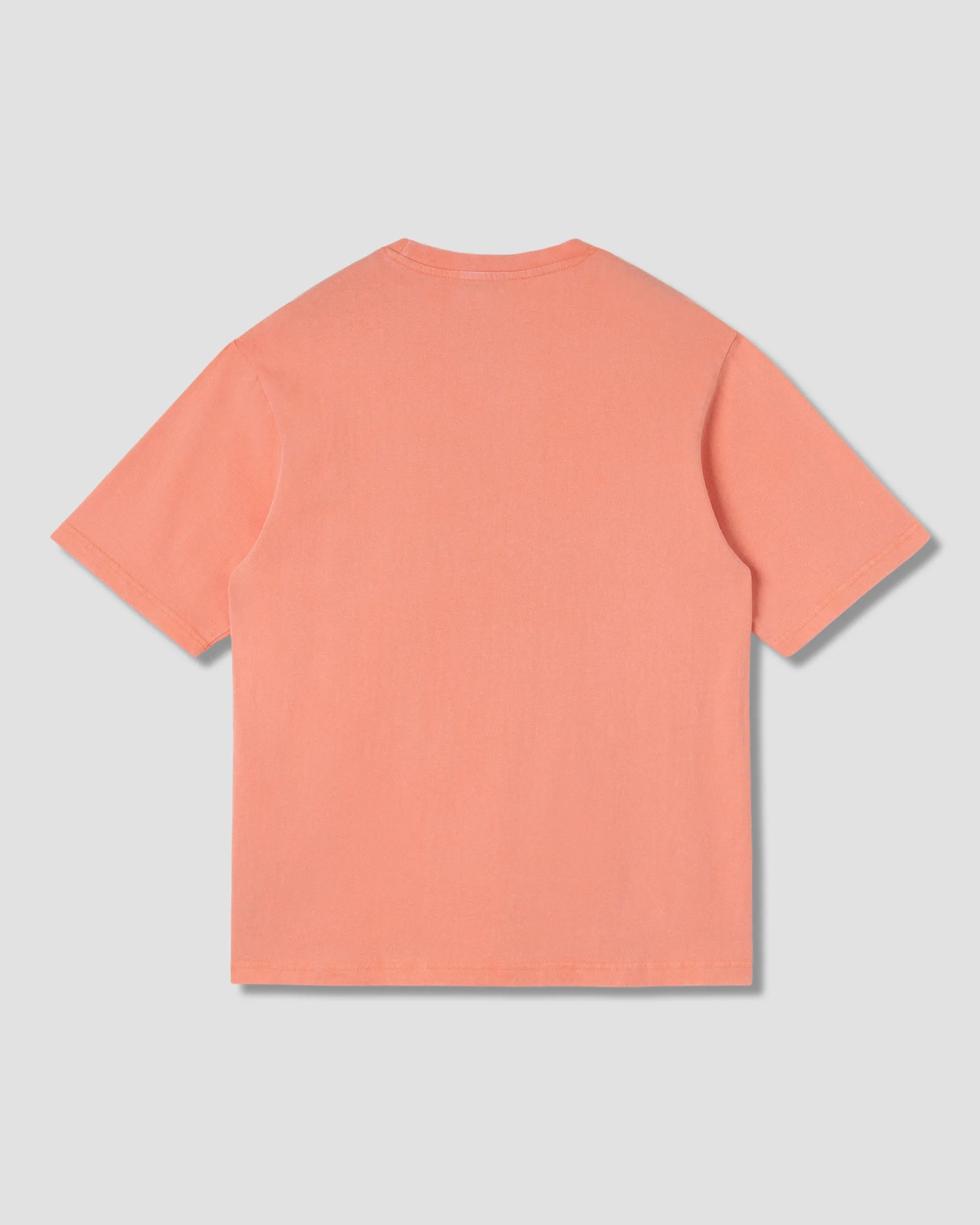 Stan Dunk T-Shirt (Washed Red)